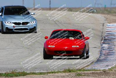 media/Apr-01-2023-Speed Ventures(Sat) [[0a098caa64]]/Purple Group/Outside Grapevine/